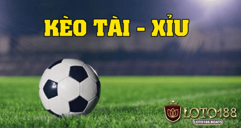 Các Loại Cược Tài Xỉu Phổ Biến Trên Loto188